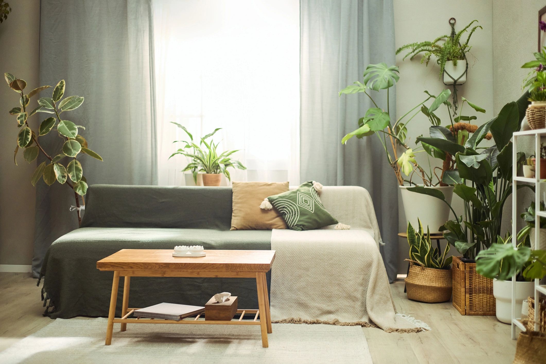 Cozy interior with pillows and curated home decor accents